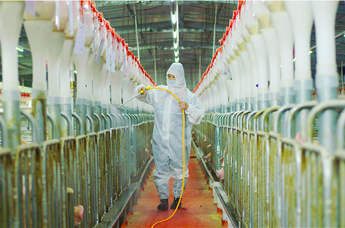 1620265164348279.jpg 1.jpg