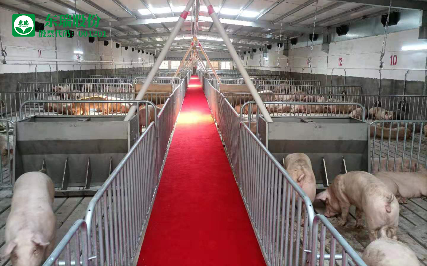 1622453756643055.jpeg 1622453756643055.jpeg